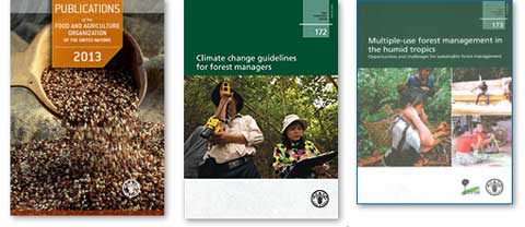 capas-reports-fao-2-w4